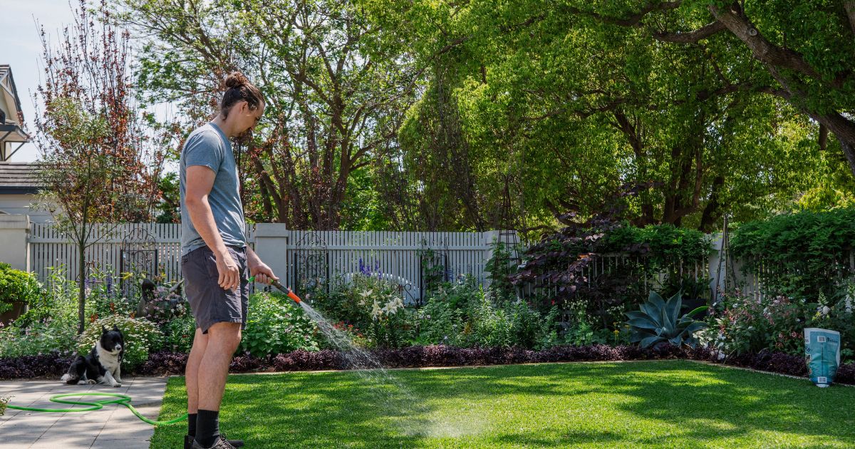 A professional approach to lawn water requirements Baileys Fertilisers