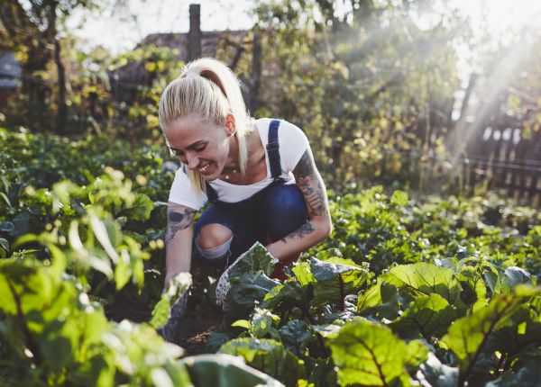 Winter Vegetables to Grow in WA