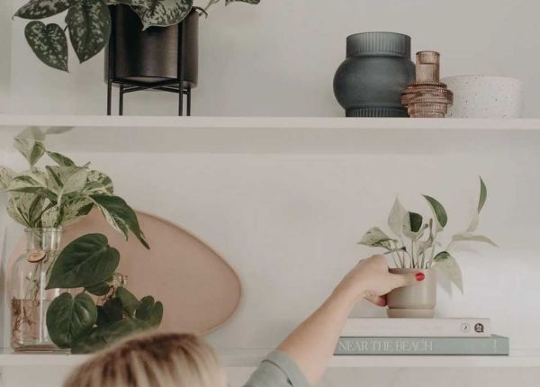 Meet the Indoor Plant Queen