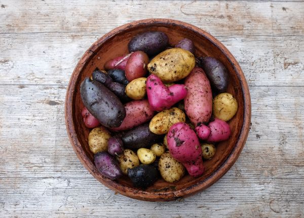How to Grow Potatoes in WA