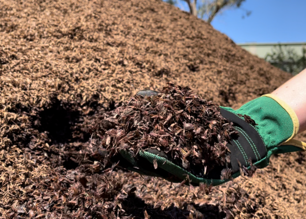 Sustainable Changes for Baileys Premium Mixes