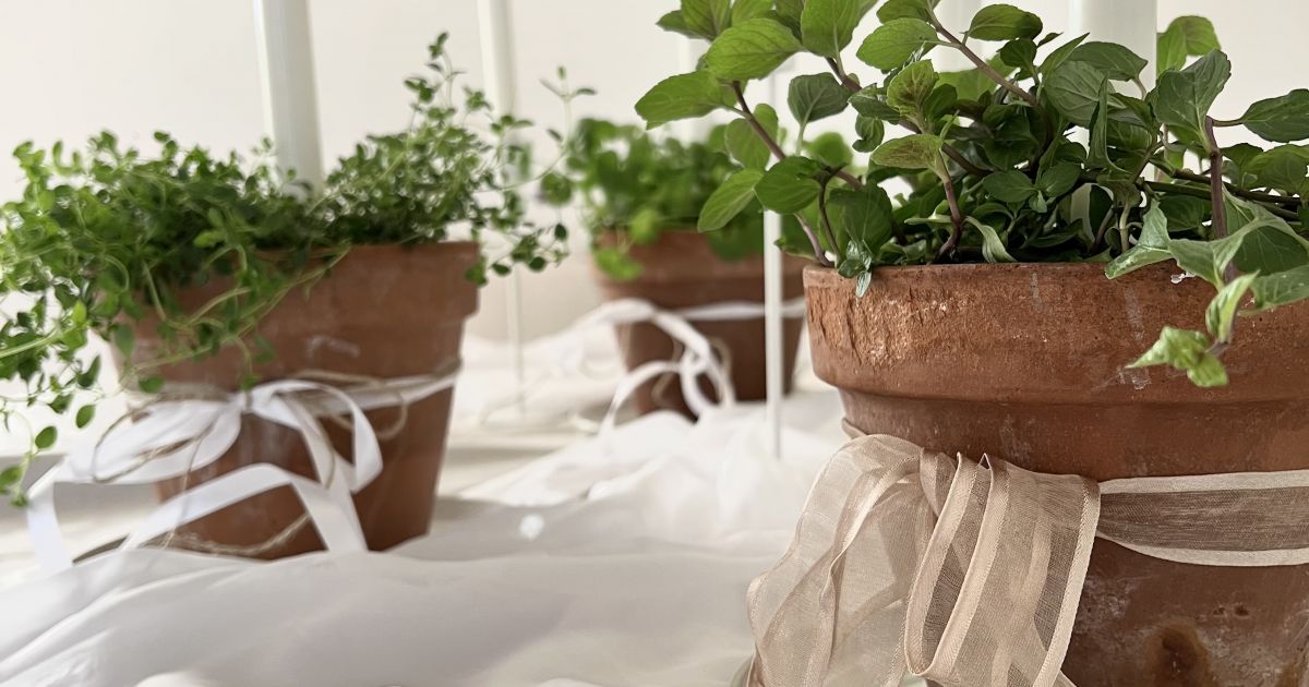 Last minute christmas gifts