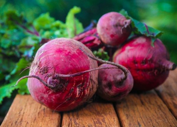 How to Grow Beetroot in WA