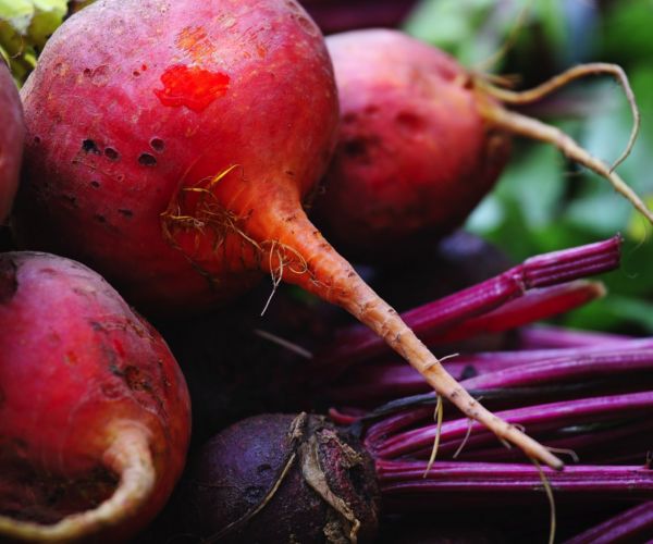 Growing and preparing your own food