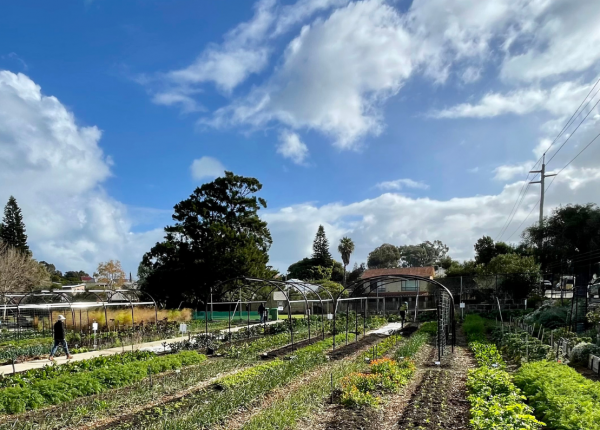 The Power of Urban Farming to Bring People Together