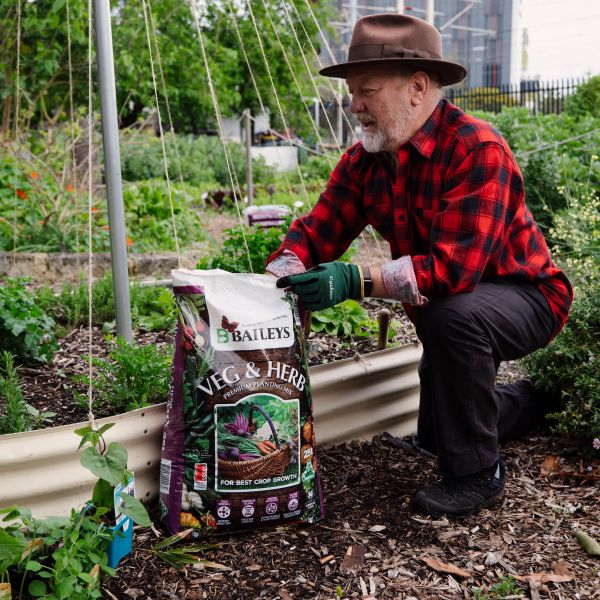 VEG & HERB PREMIUM PLANTING MIX