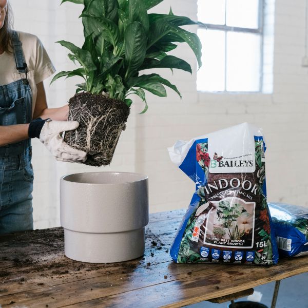 INDOOR PREMIUM POTTING MIX