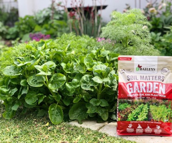 A new plant food is born