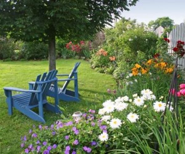 Holiday Gardening Guide