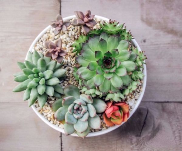 Christmas Gift Ideas