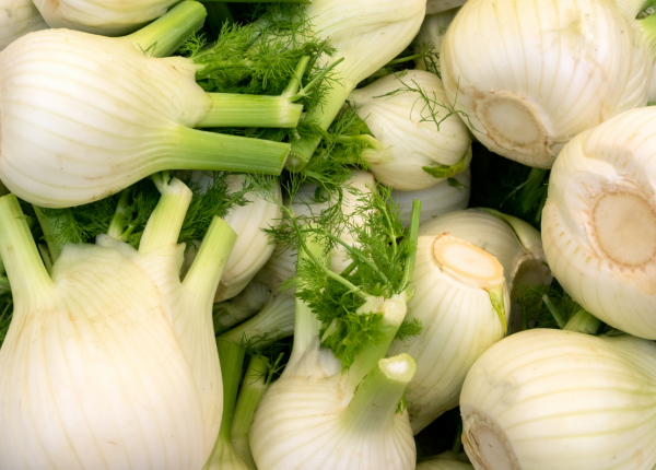 How to Grow Fennel in Perth WA