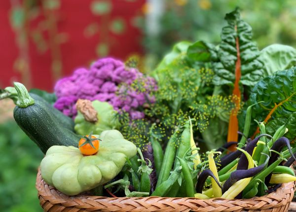 Spring veggies to plant now in WA