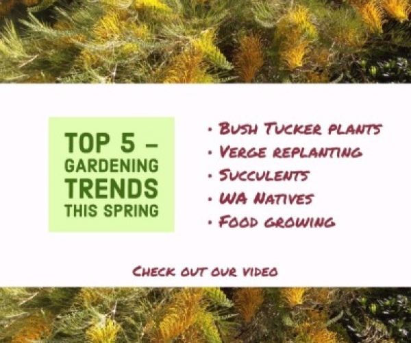 Top 5 - Gardening trends this spring