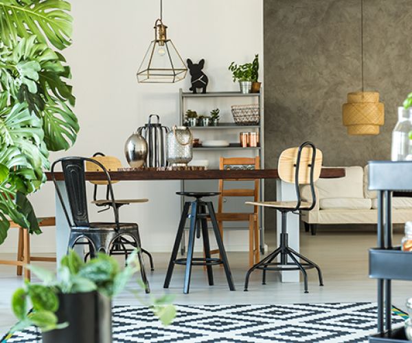 Practical hints for growing indoor plants