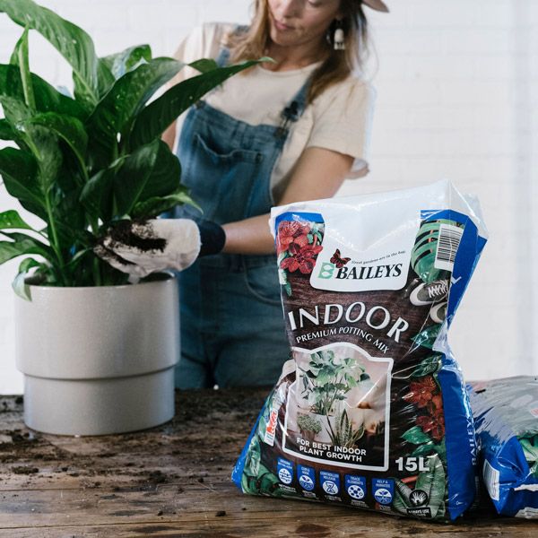 INDOOR PREMIUM POTTING MIX