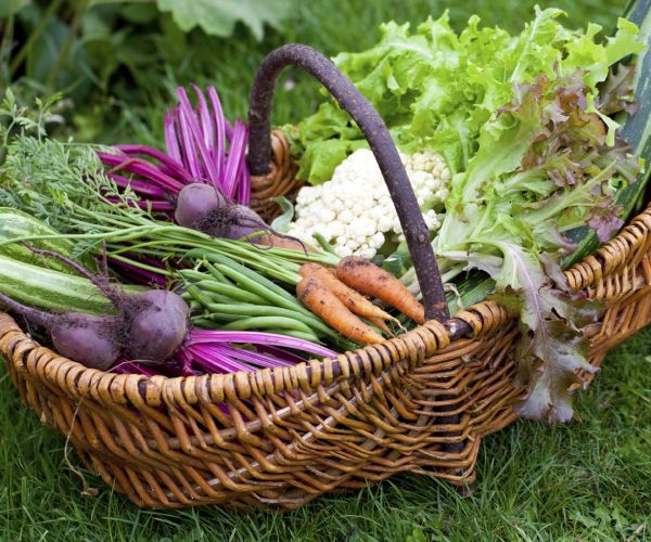 Eat colourful and diverse