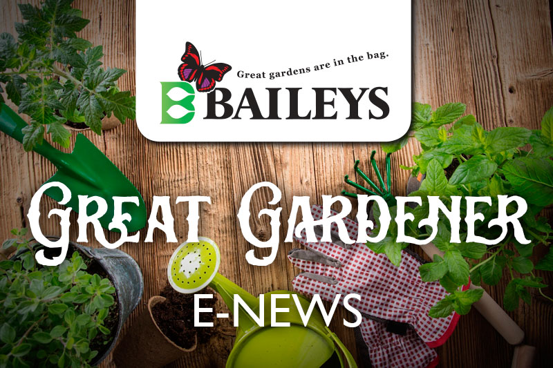 Baileys Fertiliser Great Gardener Enews Header