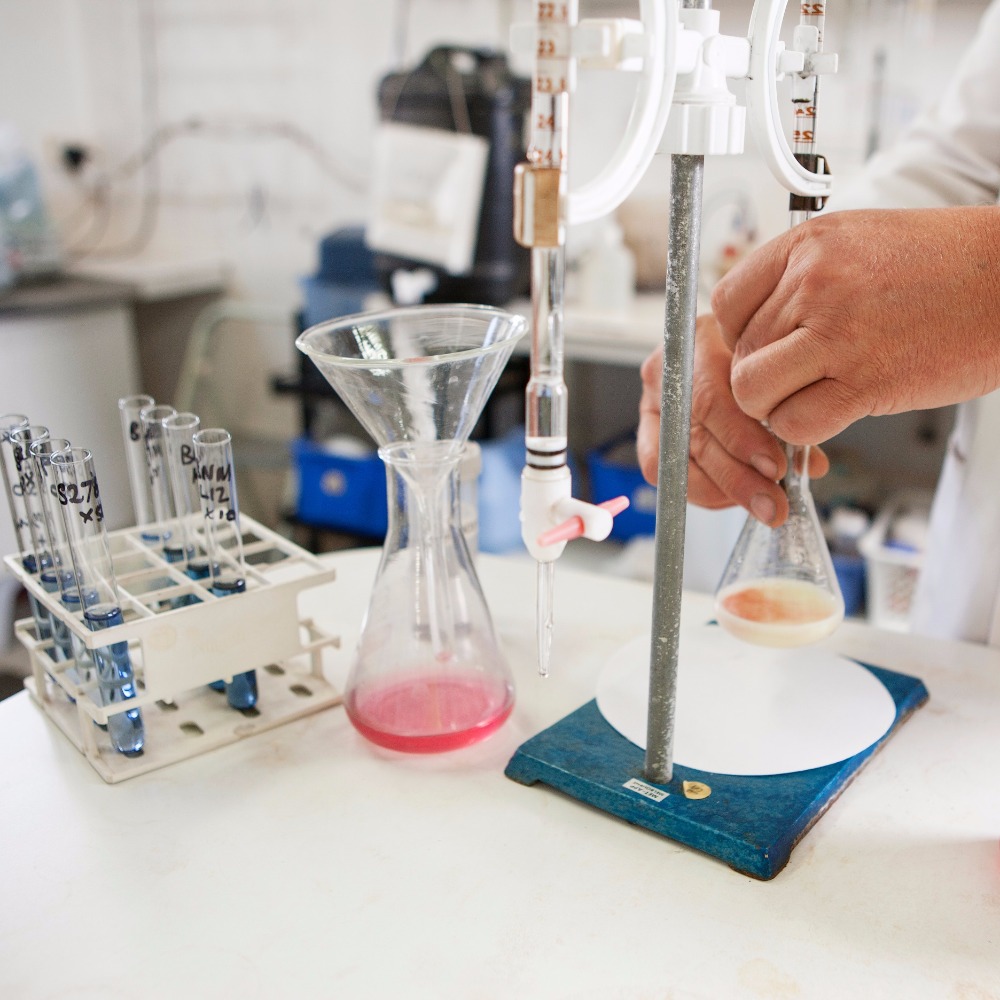 Professional Laboratory Testing
